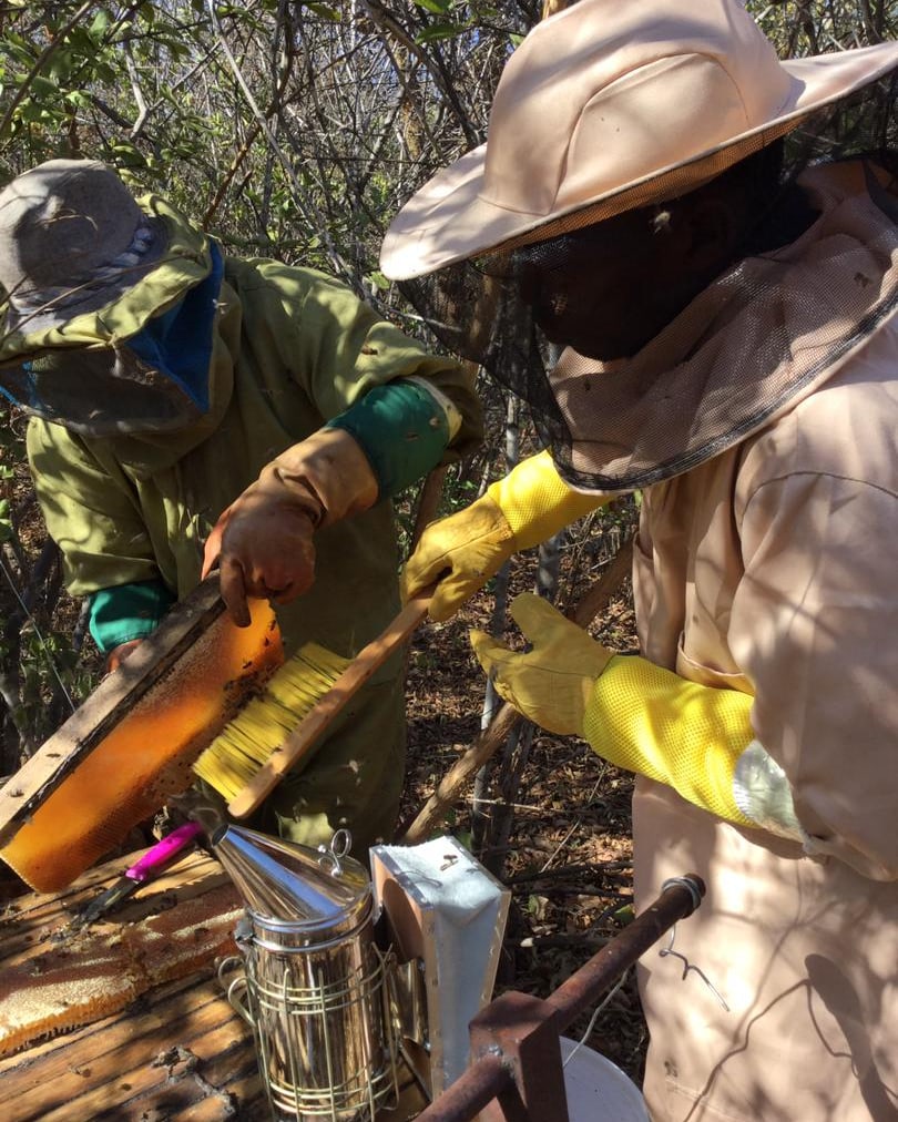 Bee Farming